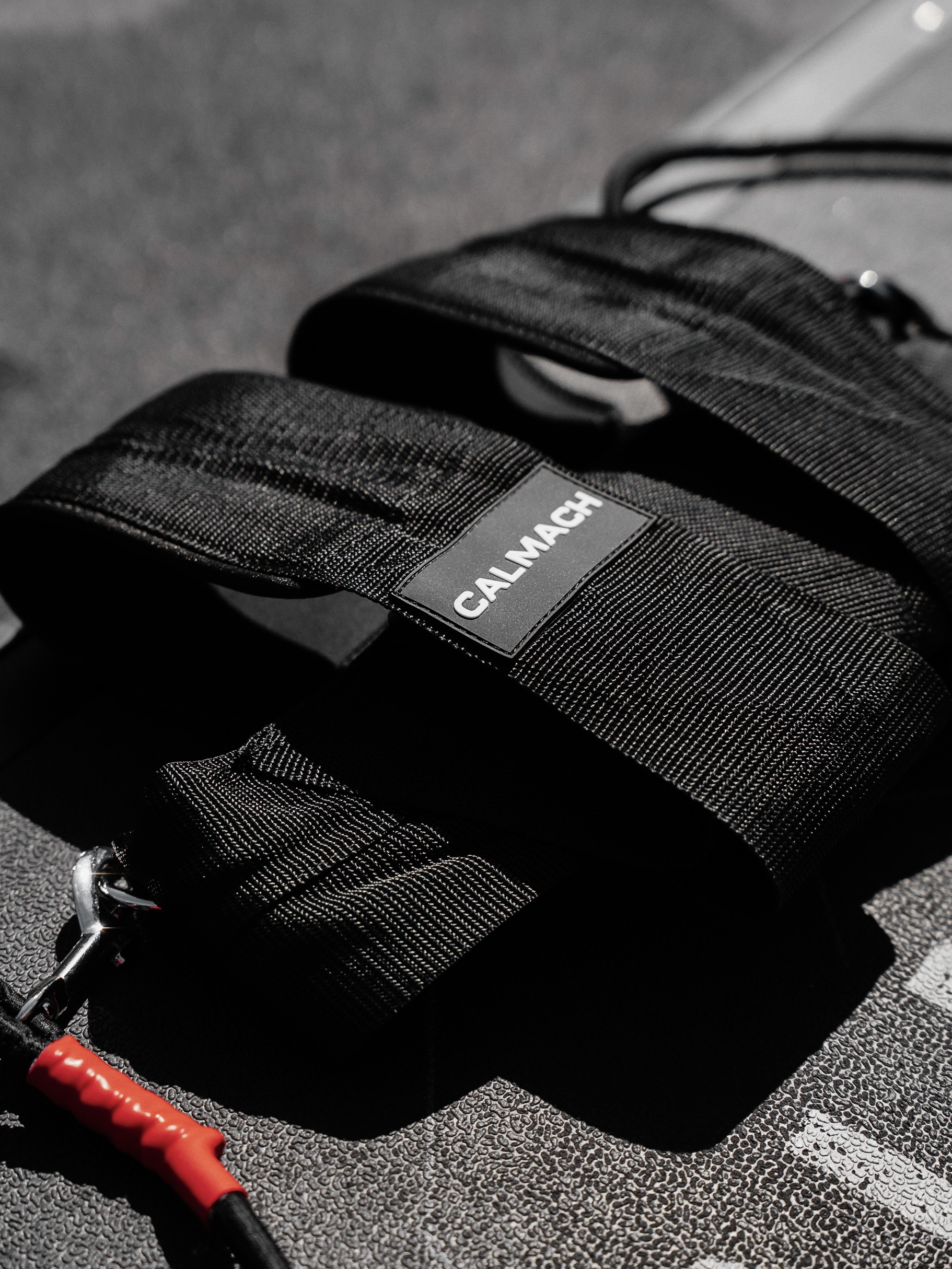 Harness close-up